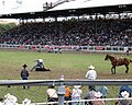 Article: Pendleton Round-Up