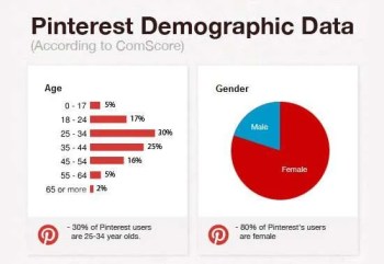 Pinterest Demographic Data from 2012