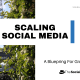 Strategies for Scaling Social Media