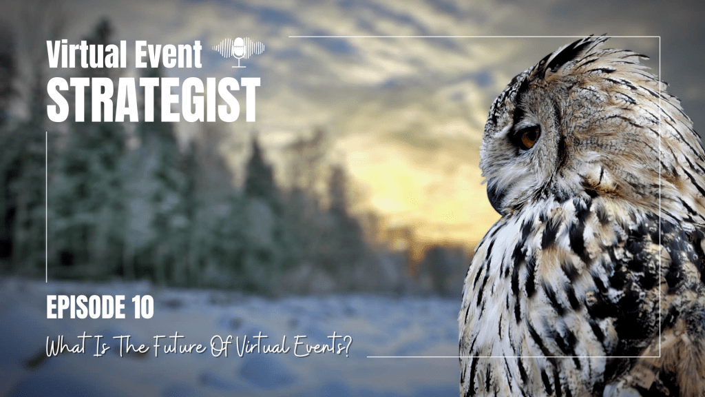 The Virtual Event Strategist Podcast, episode 10, What Is The Future Of Virtual Events? Depicted by the snowy owl.