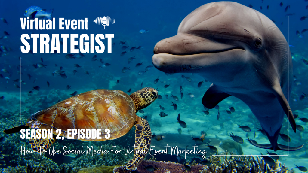 How To Use Social Media for Virtual Event Marketing, depicted by a dolphin and turtle being social.